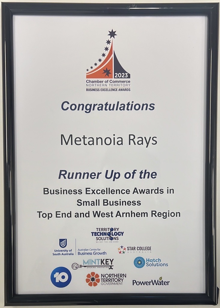 Framed Certificate, Congratulations Metanoia Rays Runner Up of the Business Excellence Awards in Small Business.